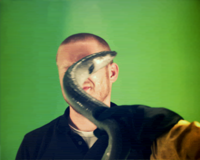 Cat Bounce - Visual representation and detailed illustration