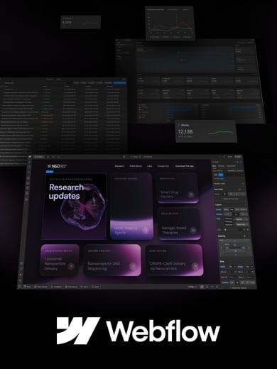 Zoom Quilt - Visual representation and detailed illustration