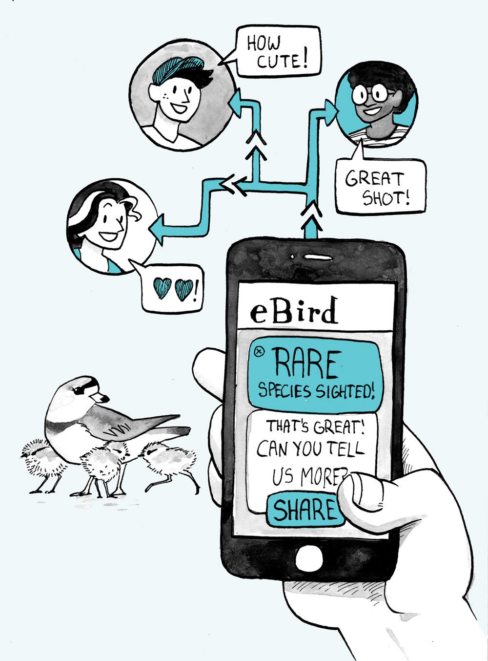 How Bird Monitoring AI Software Works - Visual representation and detailed illustration