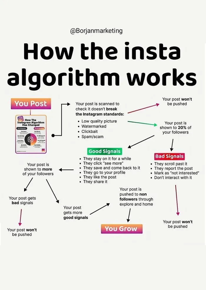 How to Use 'Your Algorithm' - Visual representation and detailed illustration