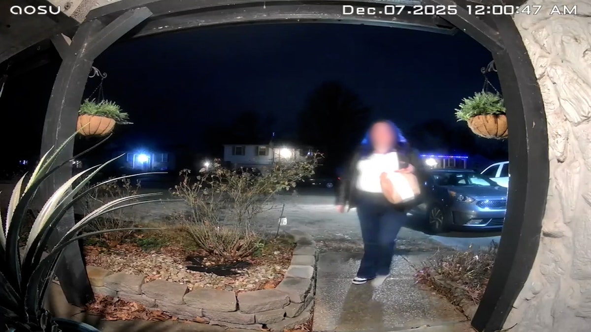 The Broader Gig Economy Safety Problem - visual representation