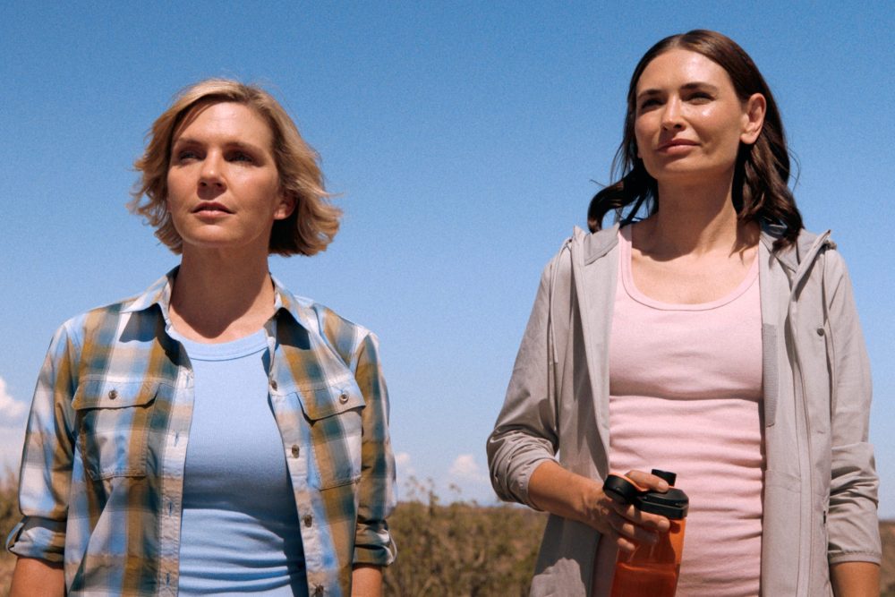 Carol's Arc: From Antagonist to Something More Complicated - contextual illustration